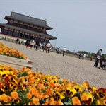 Nara trip (平城京)