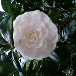 DSC00039.JPG