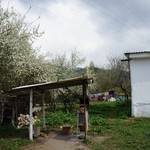 DSC00147.JPG