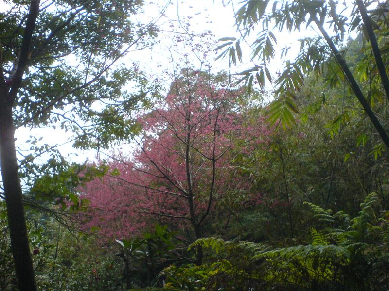 DSC08471.JPG