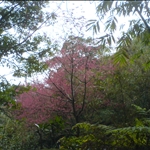 DSC08471.JPG