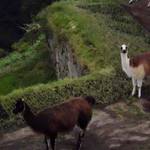 HPIM1171.JPG
