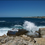 Hermanus