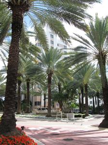 South Beach