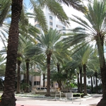 South Beach