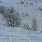 ski4.jpg