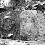 Ancienne tombe cimetierre les Saintes.jpg