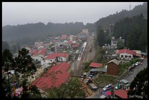 DSCN0314.jpg
