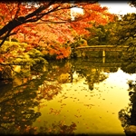 Sorakuen Garden (Warm Colors)