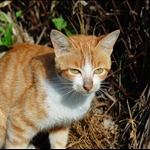 DSC_8880.jpg