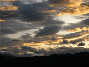 DSCN0597.jpg