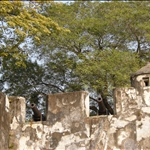 DSCN0904.jpg