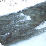 DSCI0191.JPG
