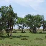 sightings along the drive through the game reserve