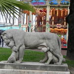 DSCN0520.JPG