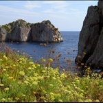 PICT1322.JPG