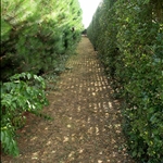 20090826_33.jpg