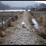 P1000138.JPG