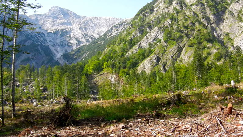 DSCN1775.JPG