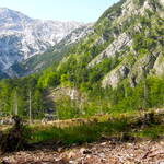 DSCN1775.JPG