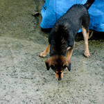 20120226-DSC_3861.jpg