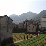 安徽太极村