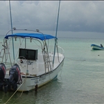 DSC02214.JPG