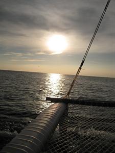IMG_1129.jpg