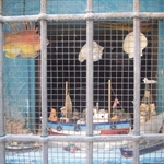 100_3874.JPG