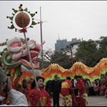 Cow-New Year in Macau