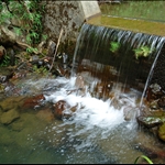 DSC_5432.jpg