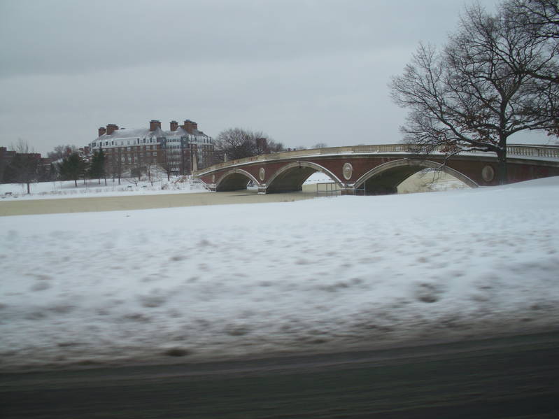 DSCI0145.JPG