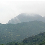 上望黃牛山