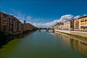 IMG_7982.jpg