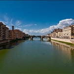 IMG_7982.jpg