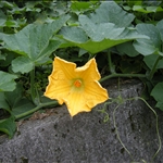 DSCN0348.jpg