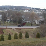 Amish Buggy near the turnpike