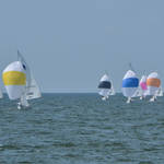 St Petersburg FL Races and Harbor 4-19-21-12 023.jpg