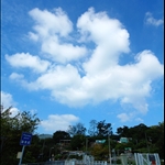 DSC_9100.jpg