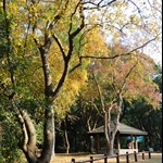 石壁引水道旁的郊遊地點
