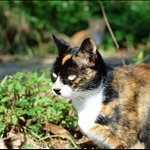 DSC_8881.jpg