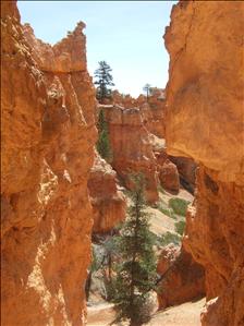 Bryce Canyon National Park, Utah