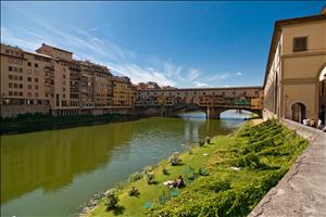 IMG_7963.jpg