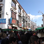 IMG_5790.JPG