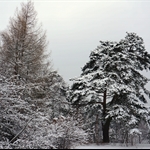 DSC02859.JPG