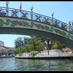 DSC01010.jpg