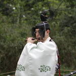 IMG_8954.JPG