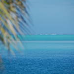 DSC_1007.JPG