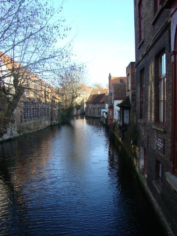 DSC02261.jpg