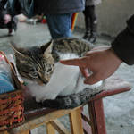 20120226-DSC_3890.jpg